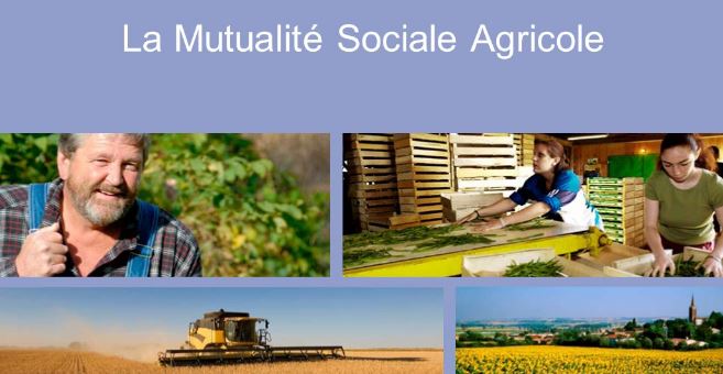 Mutualité Sociale Agricole