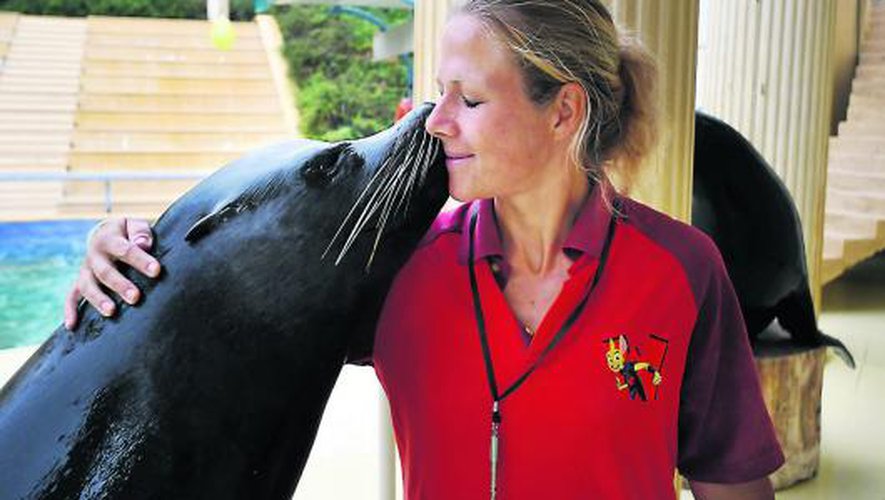 Agen : les otaries de Walibi sont entre de bonnes mains - ladepeche.fr