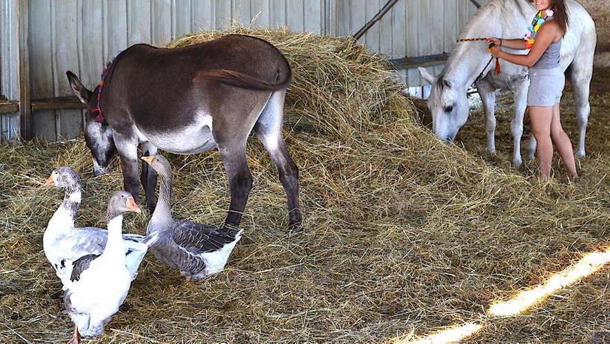 Prayssas. Au bonheur des animaux abandonnés - ladepeche.fr