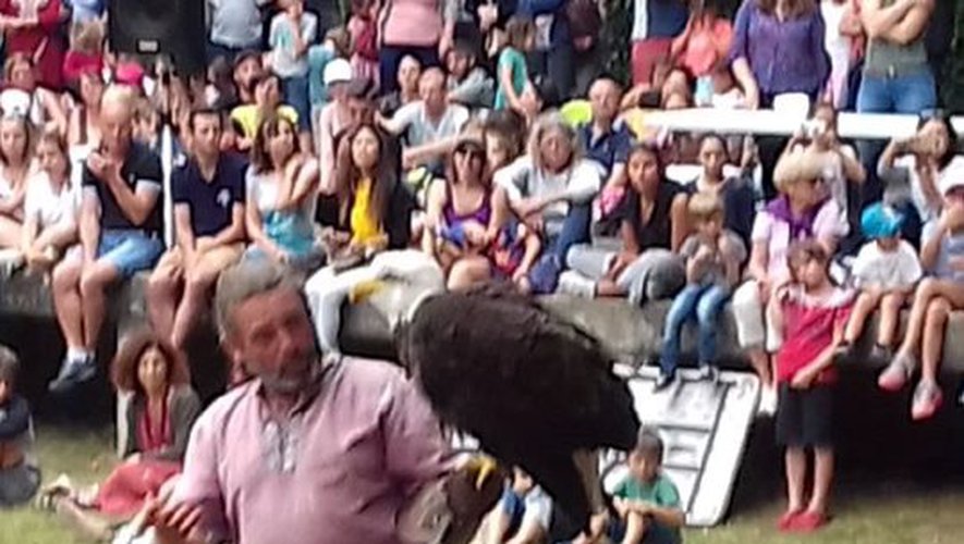 Nérac. Voltiges de rapaces au théâtre de verdure - ladepeche.fr