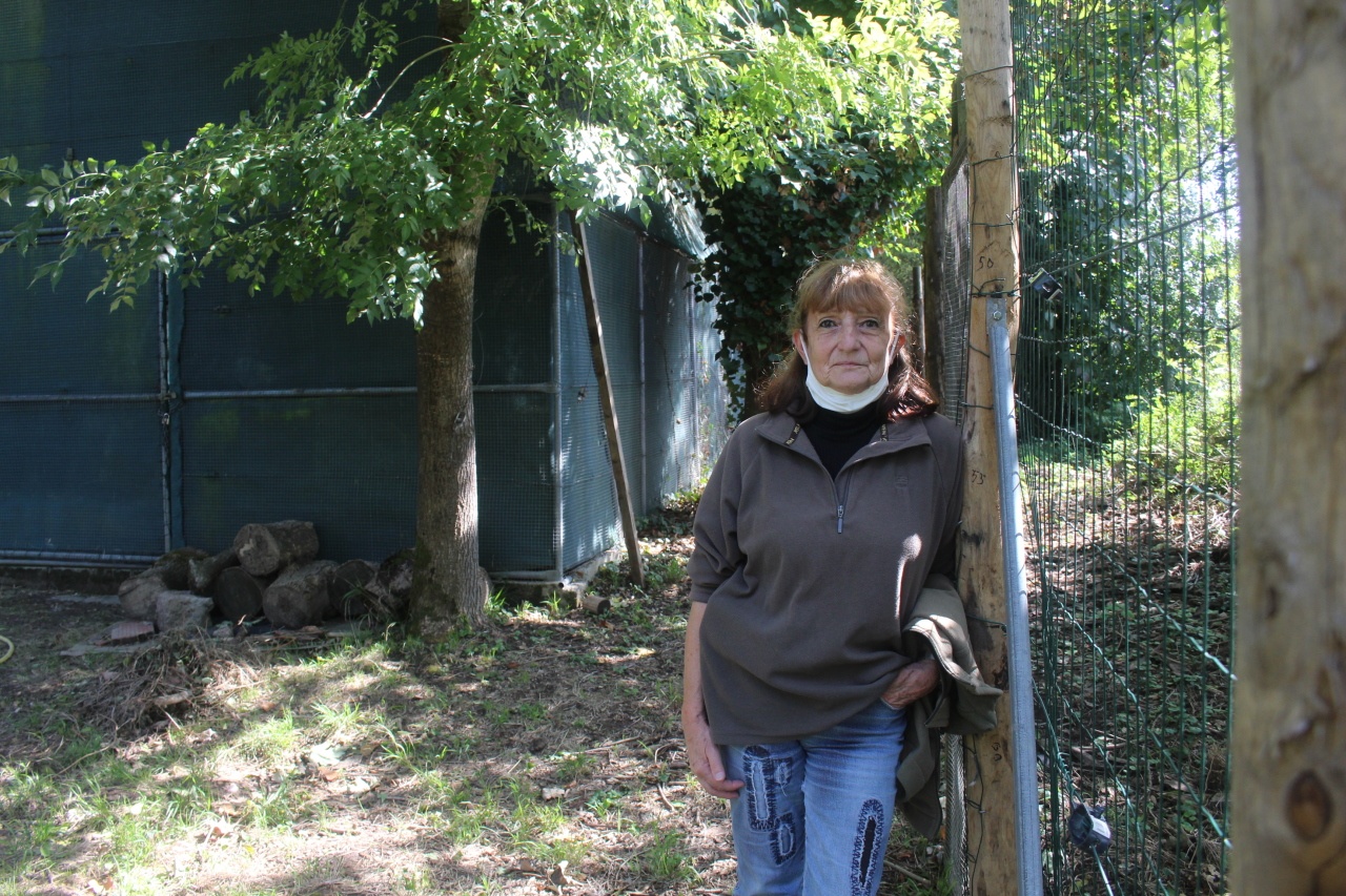 Lot-et-Garonne. Le centre de soins de la faune sauvage lauréat du budget participatif
