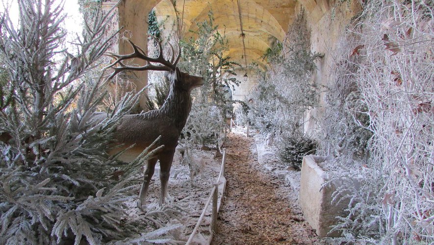 Fumel. Venez découvrir la Forêt enchantée - ladepeche.fr
